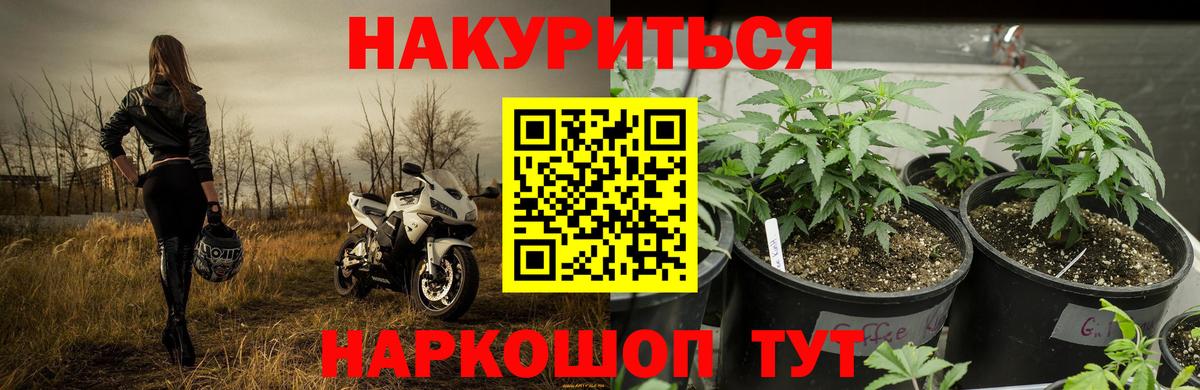 Бошки марихуана LSD WEED  Канабис марихуана  МАРИХУАНА конопля  Кузнецк  Вход с VPN 
